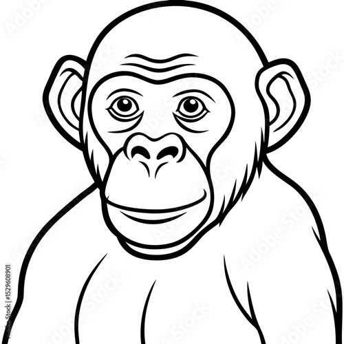 Bobcat line art vector