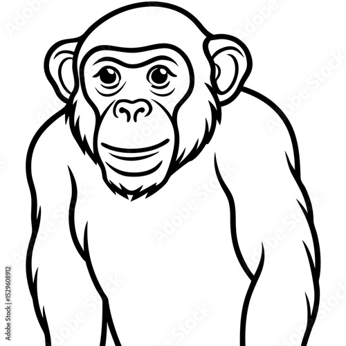 Bobcat line art vector