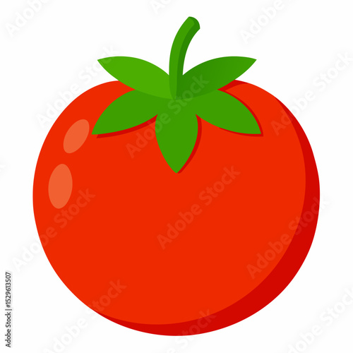 Simple Tomato Vector on White Background