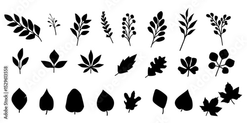 Autumnal leaves icon collection. Set of leaves icon. Natural icons. Vector illustration.