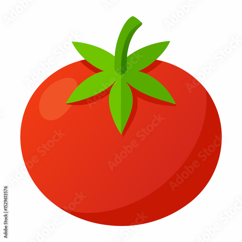 Simple Tomato Vector on White Background