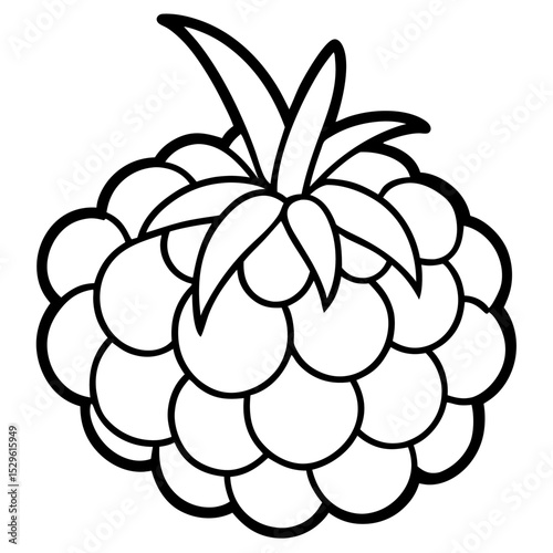 Cloudberry Fruit Illustration Detailed Vector Graphic of a Cloudberry on a Clean White Background for Design
