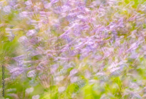 Dreamy floral abstraction in soft purple and green tones. Blurred flowers create an ethereal, impressionistic effect ideal for backgrounds or creative projects