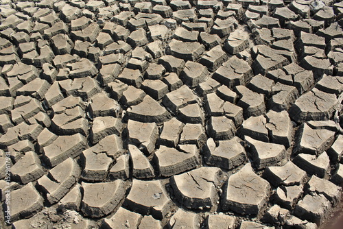 Cracked Drought-Affected Dry Soil Surface Texture