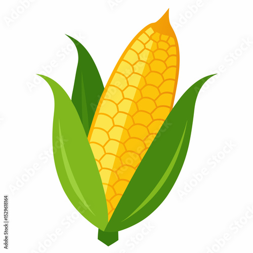 Simple Corn Vector on White Background