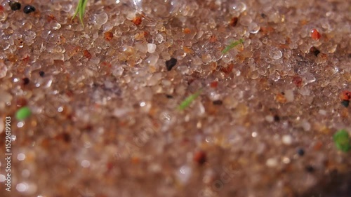 macro shot top view of grains of sand and small fragments of shells blown by the wind in water