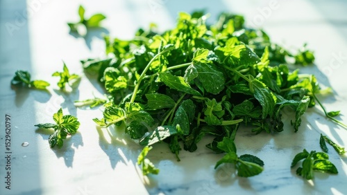 Scattered fresh green leaves of mint and parsley on a light marble surface under bright light. Concept of fresh herbs, cooking ingredients, and healthy eating.