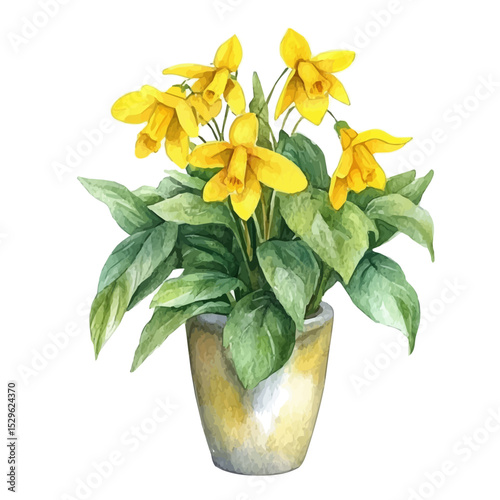A Yellow Archangel In A Vase, watercolor illustration vector, high quality, isolated on a white background.