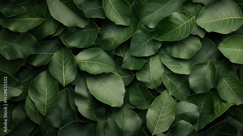 Fototapeta premium A close-up image of lush green leaves, showcasing the diverse shades of green and the intricate patterns within nature, perfect for emphasizing tranquility and freshness.