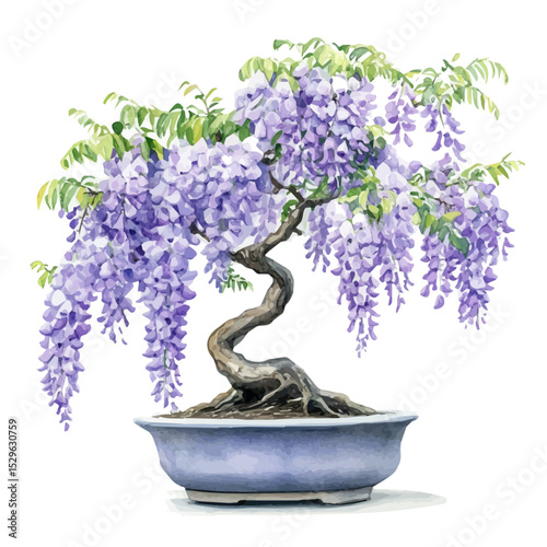 watercolor of A Wisteria Bonsai, vector high quality, isolated on a white background.