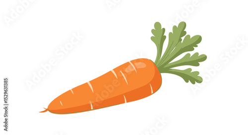 Vibrant Orange Carrot with Detailed Green Top