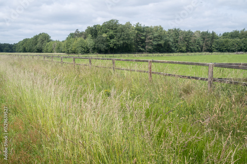 Wooden fence separating tall grass from a mowed field with forest in background under cloudy sky