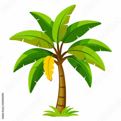 Simple Banana Tree Vector on White Background