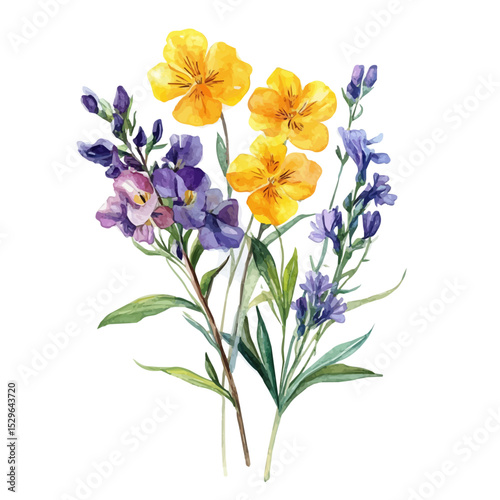 watercolor vector of A Wallflower Bouquet, high quality, isolated on a white background.