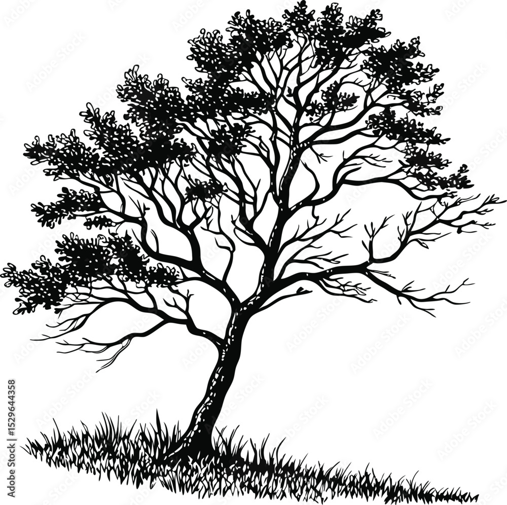 Obraz premium Here's a concise description for your image:A lone black tree silhouette vector with intricate bare branches stands against the sky, perfect for nature or forest designs