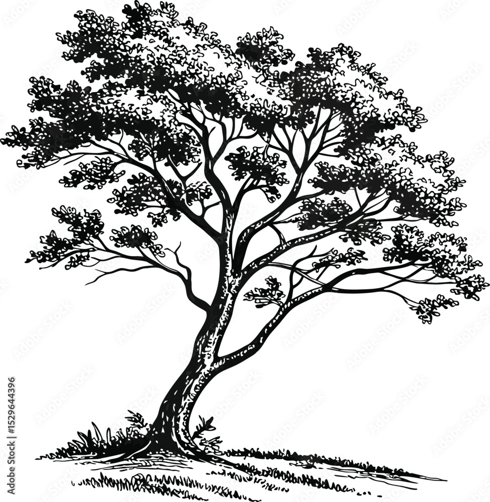 Obraz premium A tree silhouette vector with visible roots beautifully illustrates the bare branches of a plant in nature, perfect for decoration or a drawing in any season
