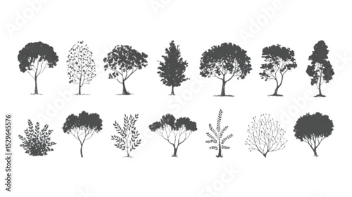 Collection of Gray Scale Hand Drawn Tree Silhouettes Various Shapes and Sizes