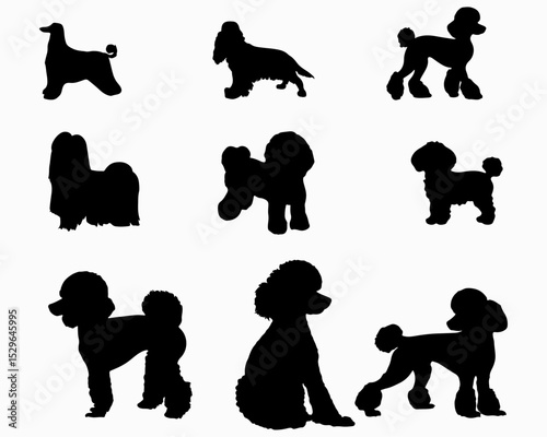 A set of Silhouettes of Groomed Dog Breeds