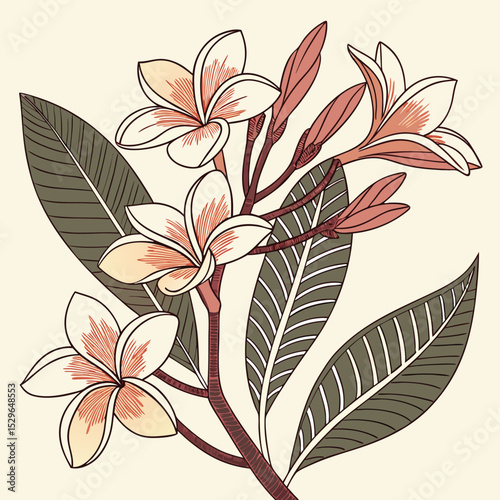 Boho Tropical Flowers Vector Clipart Set of Elegant Plumeria Blossoms and Leaves, Perfect for Summer Designs and Tropical Themed Projects