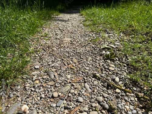 path in the grass