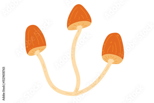 Autumn mushrooms drawn by hand. Element for design