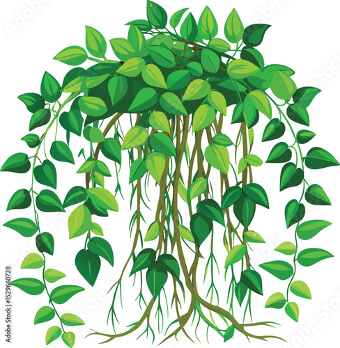 Lush Green Hanging Vines  A Vibrant Illustration of Tropical Foliage