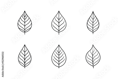 leaf vein line art vector illustration design