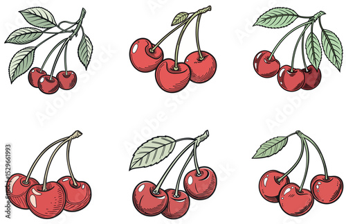 Red Cherries Designs Vibrant and Fresh Cherry Vector Illustrations for Creative Projects