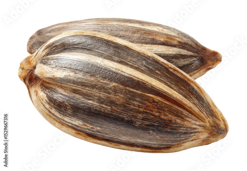 Wallpaper Mural Harvesting sustainable cocoa pods tropical rainforest food natural environment view Torontodigital.ca