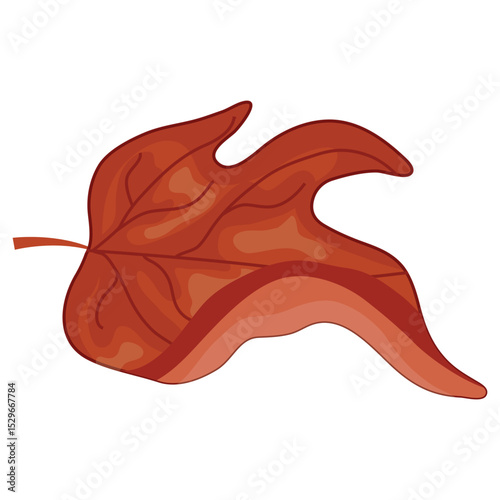 icon of a red leaf from a deciduous tree, namely a maple, for Canada Day or autumn designs