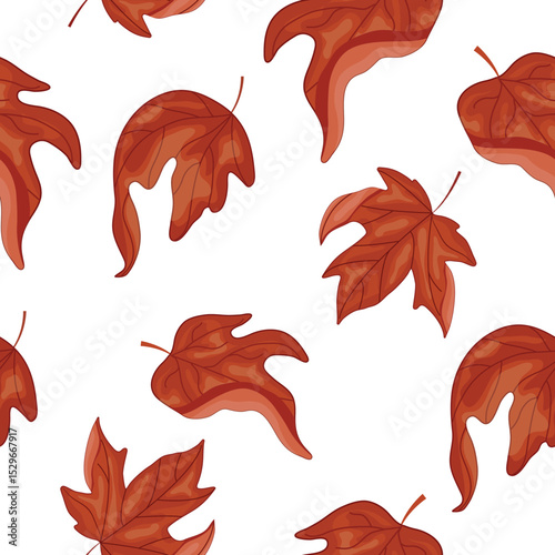 pattern of curved leaves from a deciduous tree, namely from a maple tree, without a background, for Canada Day or autumn designs