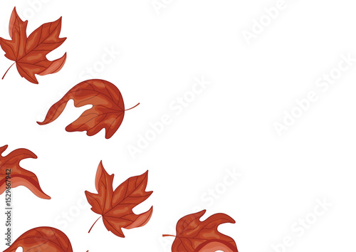 poster of curved leaves of a deciduous tree, namely a maple tree, without a background, for Canada Day or autumn designs