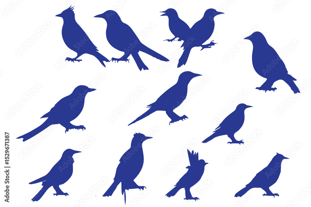 Fototapeta premium bird silhouettes, black and white, vector graphics, various poses, perched birds, flying birds, detailed bird shapes, minimalist design, ornithology illustration, nature clipart, bird watching guide,
