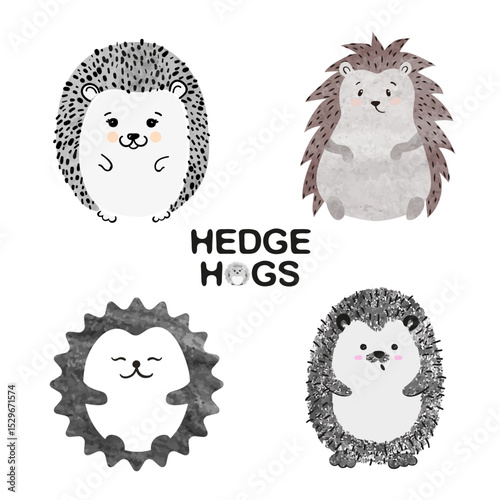 Cute watercolor hedgehogs isolate on white. Vector set