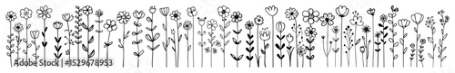 hand drawn wildflower border seamless floral line set