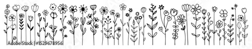wildflower seamless border with thin line hand drawn flowers