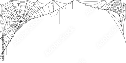 vector illustration of spider web, cobweb background