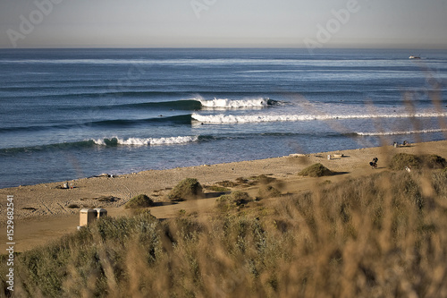 California Surf lineup