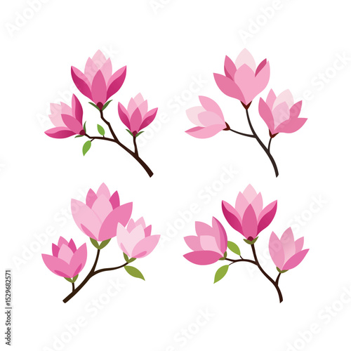 A set of pink magnolia flowers vector art illustration