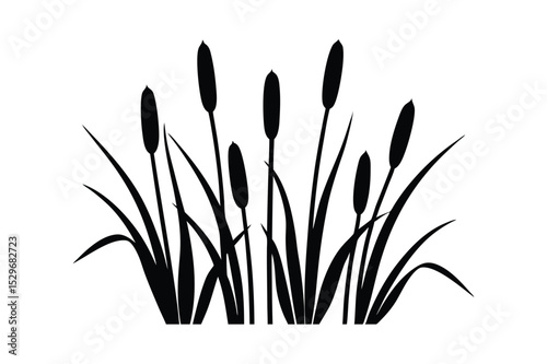 Bulrush silhouette vector art illustration(C)