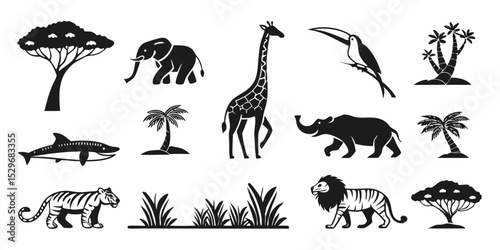 Photography wild animals collection