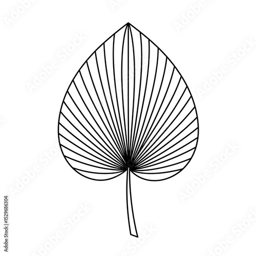  Heart-shaped leaf icon with radiating lines for stylized nature design