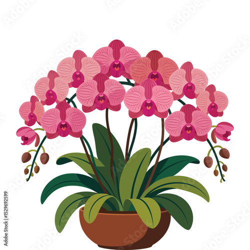 Orchid Flower Vector Illustration.