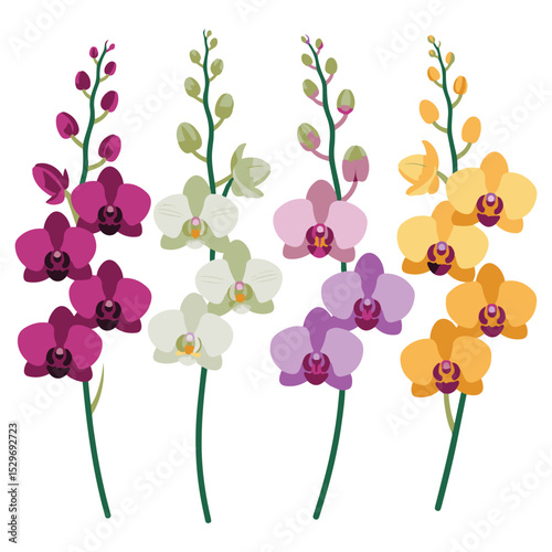 Vector Orchid Flowers: Flat Design in 4 Elegant Colors.