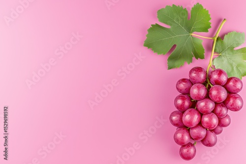 Fresh Purple Grapes with Green Leaf on Light Pink Background