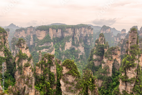 Zhangjiajie National forest park at sunset, Wulingyuan, Hunan, China