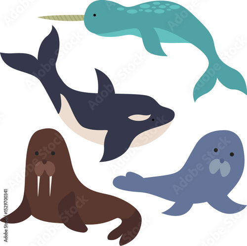 Arctic Animal, Orca, Narwhal, Seal and Walrus Cute Illustration.