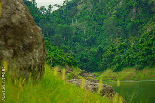 Green mountain landscape with a summer sky, glass flower and a river flowing through the natural park