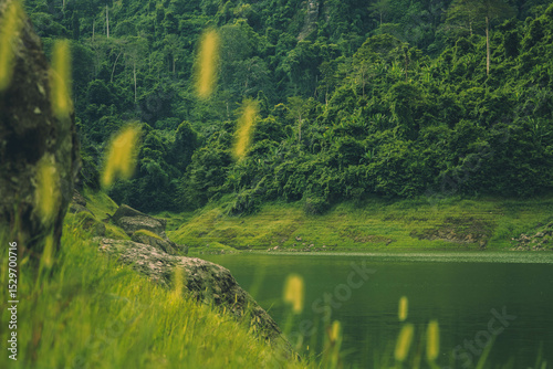 Green mountain landscape with a summer sky, glass flower and a river flowing through the natural park