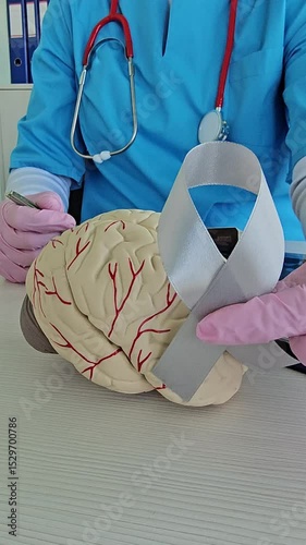 Medical professional presents brain model with awareness ribbon at healthcare facility during educational session
